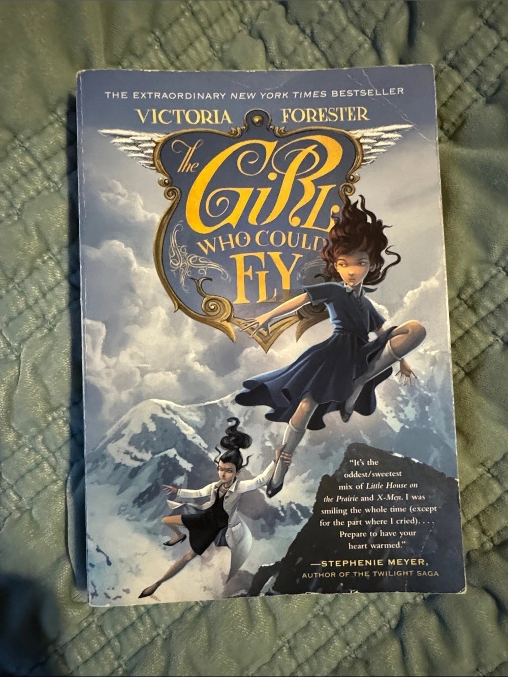 Square Fish The Girl Who Could Fly Paperback Book Victoria Forester